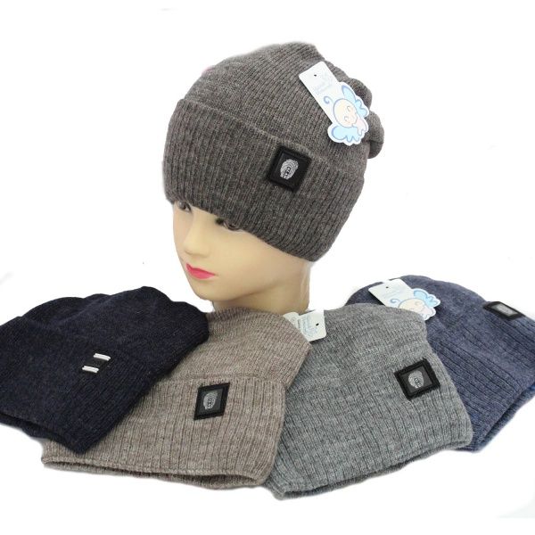 Шапка для хлопчиків р.52-54 в асортименті 1721 