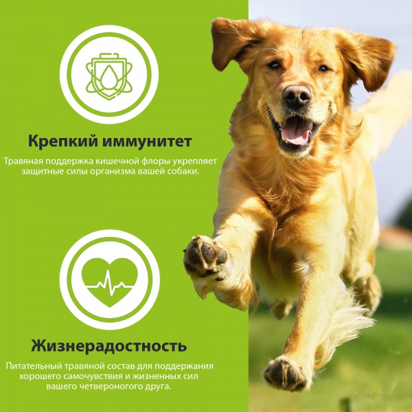 Корм сухой для средних пород/для крупных пород German Shephy German Shephy Adult Vegan Растительные ингредиенты 5 кг