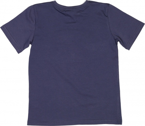Футболка для хлопчиків Luna Kids бавовна р.122 індиго 