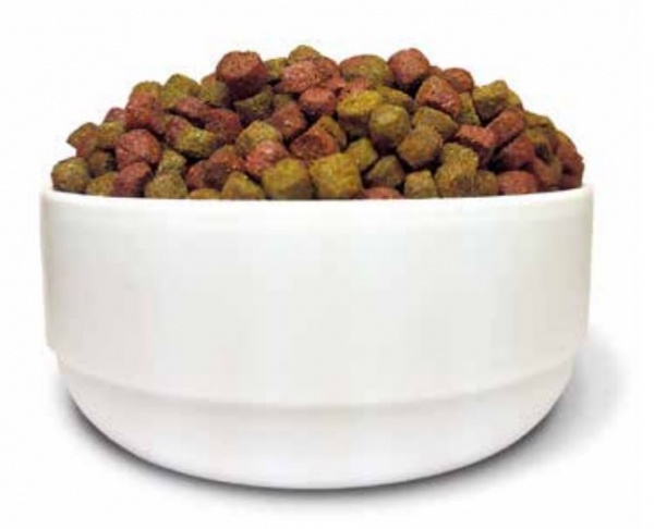 Корм сухой для взрослых котов Dino с говядиной 10 кг