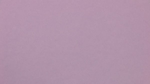 Бумага для дизайна Fotokarton № 31 бледно-лиловая B2  50x70 см 300 г/м² Folia