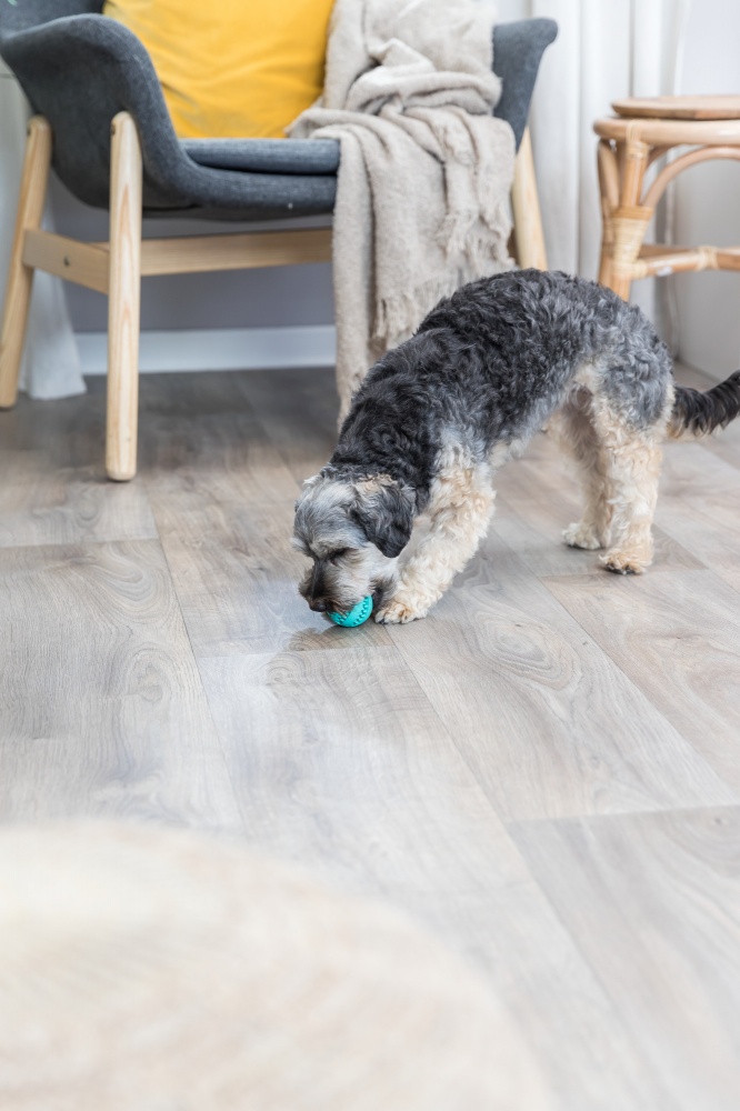 Игрушка для собак Trixie DentaFun мяч бейсбольный с мятой 5 см