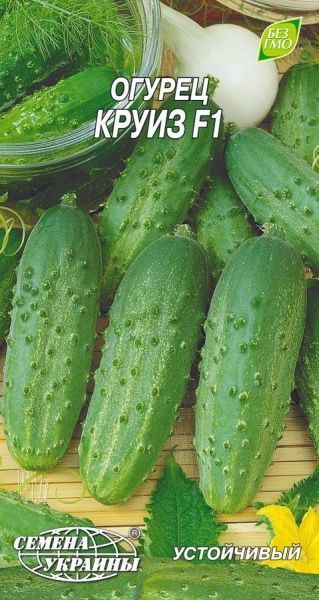 Семена Семена Украины Огурец Круиз F1 0,5г