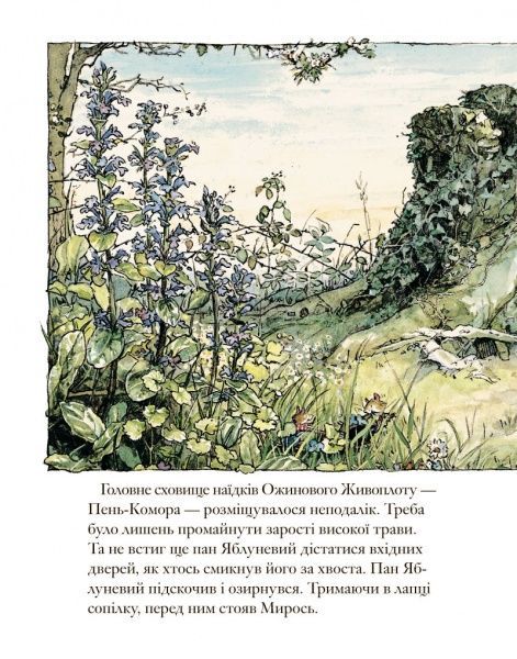 Книга Джилл Барклем «Ожиновий живопліт. Весняна історія» 978-617-7329-69-4