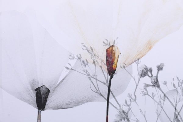 Картина Модерна С 75x100 см Styler GL-12530 