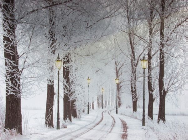 Картина со светлодиодной подсветкой 30х40х1,8 см АА 940157 