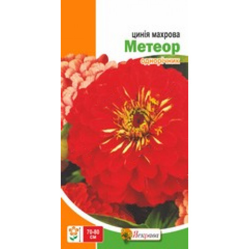 Семена Яскрава цинния Цинния Махрова Метеор (красная)