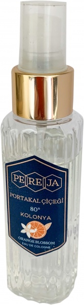 Антисептик Bloom Аромотизатор антисептический для рук, помещений и авто Апельсин 100 мл