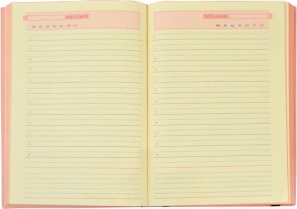 Щоденник Angolo А5 251970 Leo Planner