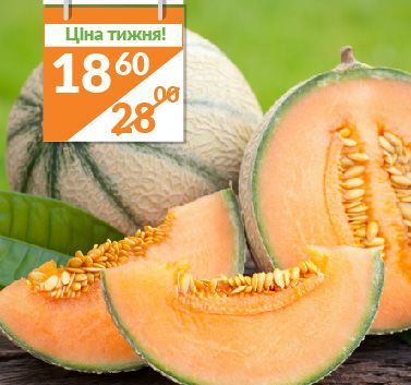 Семена Професійне насіння дыня Портенто F1 8 шт. (4820176693471)