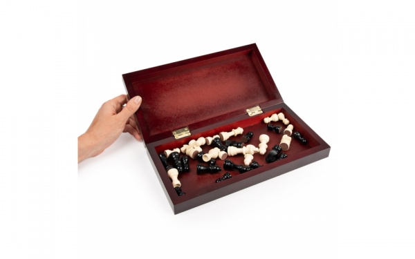 Игра настольная Spin Master Шахматы SM98367/6045679