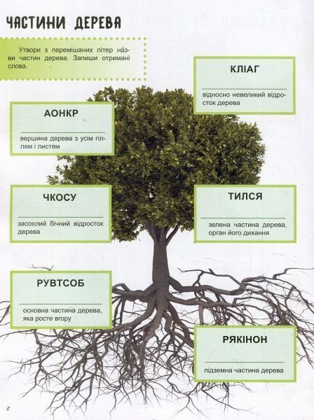 Книга Полулях Н. «Зошит до енциклопедії. Світ і його таємниці: Життя лісу» 978-617-09-4442-9