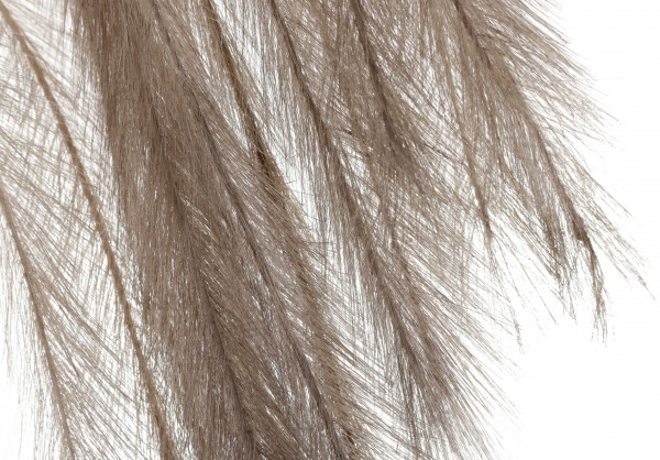 Веточка декоративная 130 см бежевая с перьями YZA000900