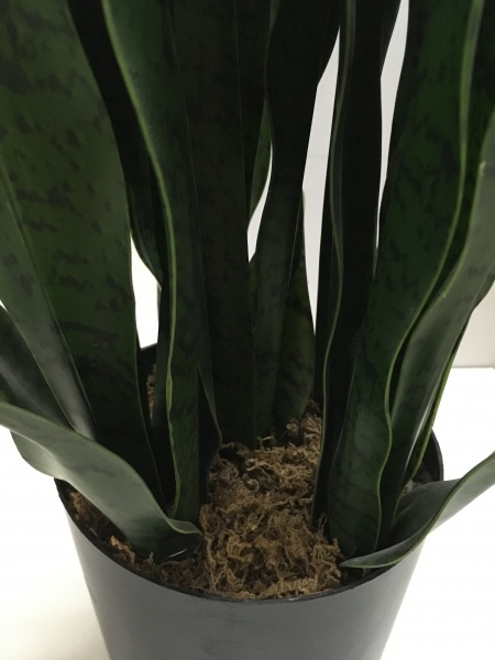 Рослина штучна Sansevieria (DW-10) Engard