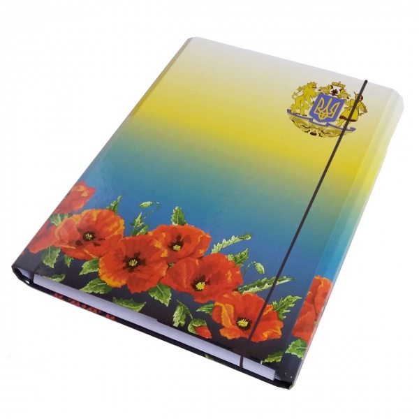 Папка-короб на резинці А4 25 мм в асортименті iTEM