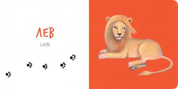 Книга Екатерина Таберко «Африканські тварини» 978-617-7395-31-6