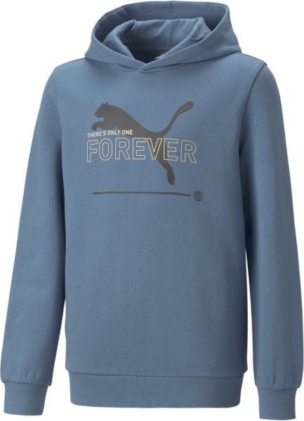 Джемпер Puma PUMA ESS BETTER HOODIE TR KIDS 67365917 р. 116 синій