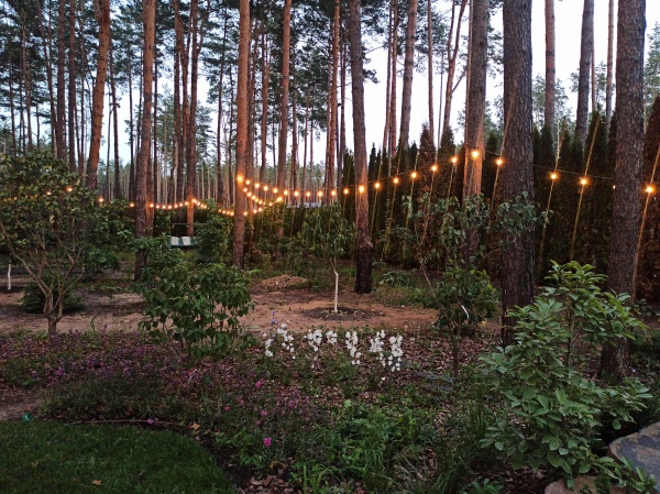 Электрогирлянда FusionLight светодиодная (LED) 20 ламп 10 м 