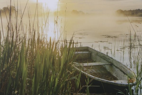 Репродукція Човник 60x150 см Styler 