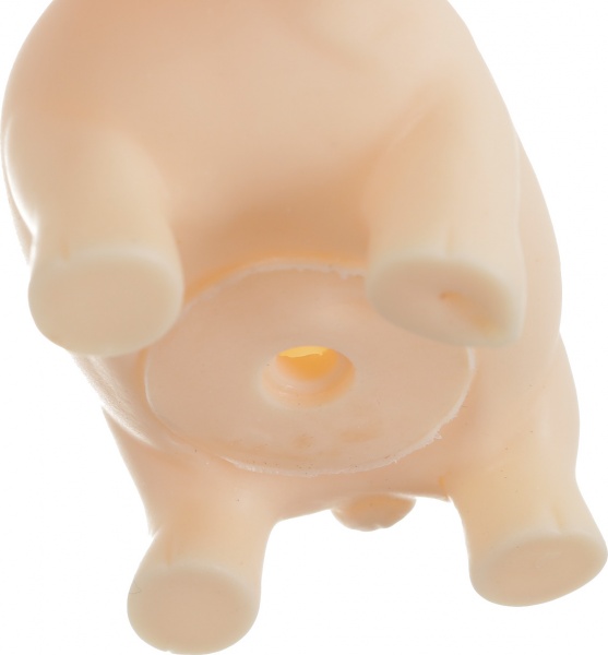 Игровой набор Essa Дикие животные 200577091