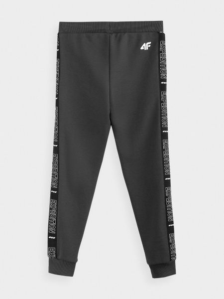 Штани 4F J4Z20-JSPMD208B-22S р. 158 сірий