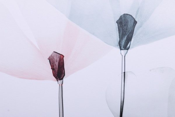 Картина Модерна В 60x80 см Styler GL-12525 