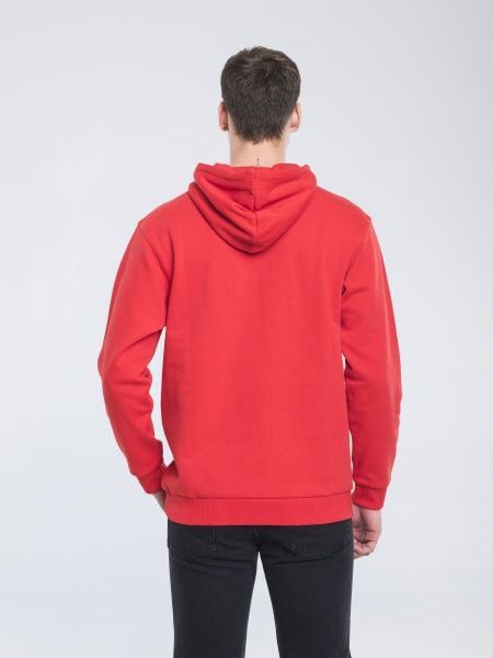 Джемпер BigStar ALGIRD 154582603 р. L красный