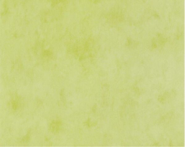 Обои A.S. Creation Boys + Girls 5 6888-66 