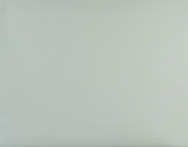 Шпалери вінілові на флізеліновій основі RASCH Sel. DB 918984 1,06x10,05 м 