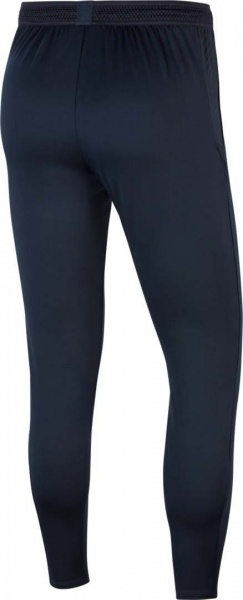 Штани Nike CD4973-475 р. L синій