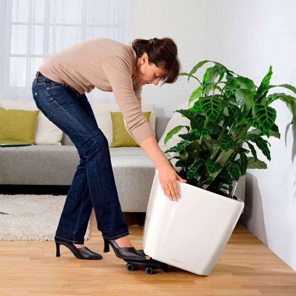 Подставка на колесах Lechuza Rolling Coaster for Classico d30 см 