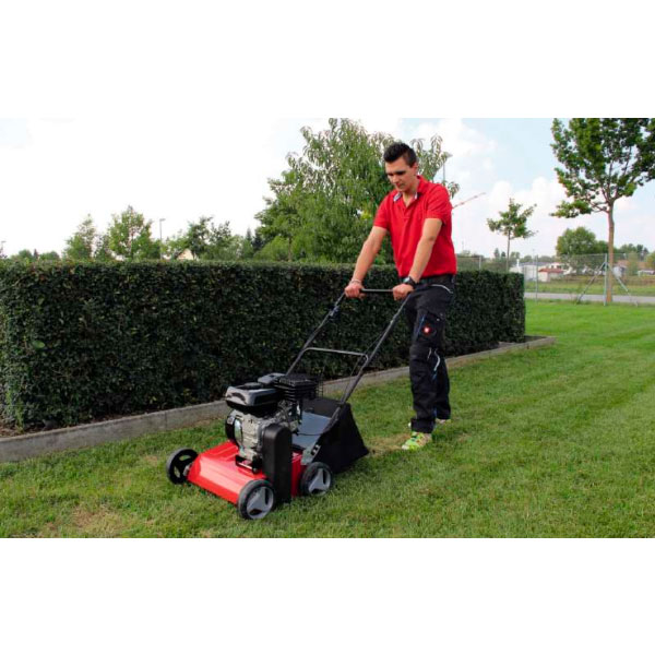 Вертикуттер Einhell GC-SC 2240 P