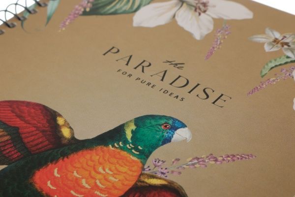 Зошит шкільний А5 96 аркушів у клітинку A5-SC-096-6056K Student Школярик