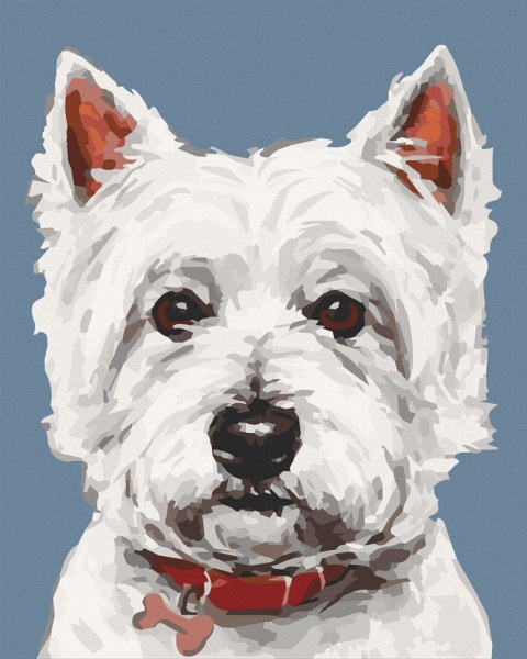 Картина за номерами Вайт тер'єр 11652-AC 40х50 см ArtCraft 