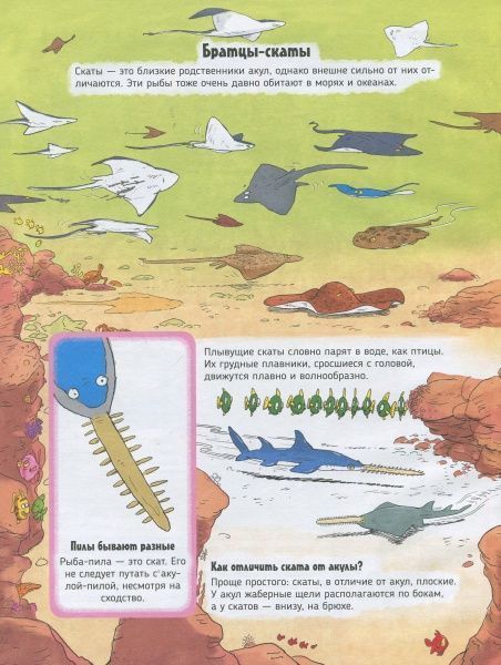 Книга «Книга Акули.Про що говорять тварини.»