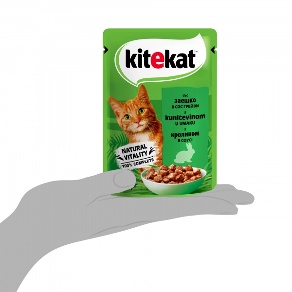 Корм для котів Kitekat в соусі з лососем 85 г