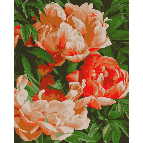 Картина за номерами Розкішні півонії 953963 40x50 см Santi 