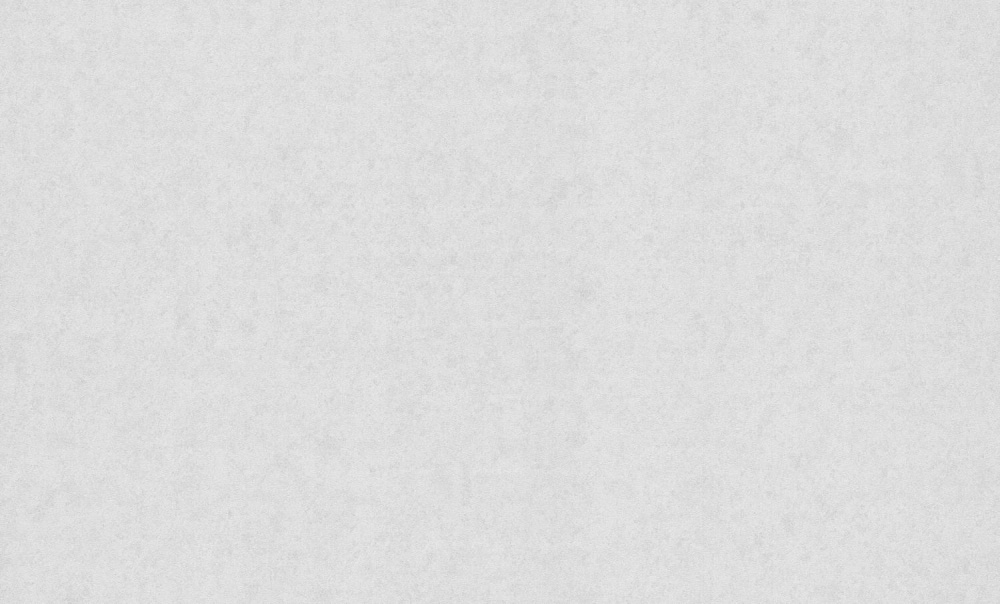 Шпалери вінілові на флізеліновій основі Bravo 81800BR07 1,06x10,05 м