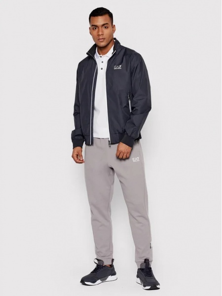 Брюки EA7 TROUSER 3LPP81-PJEQZ-1907 р. L серый