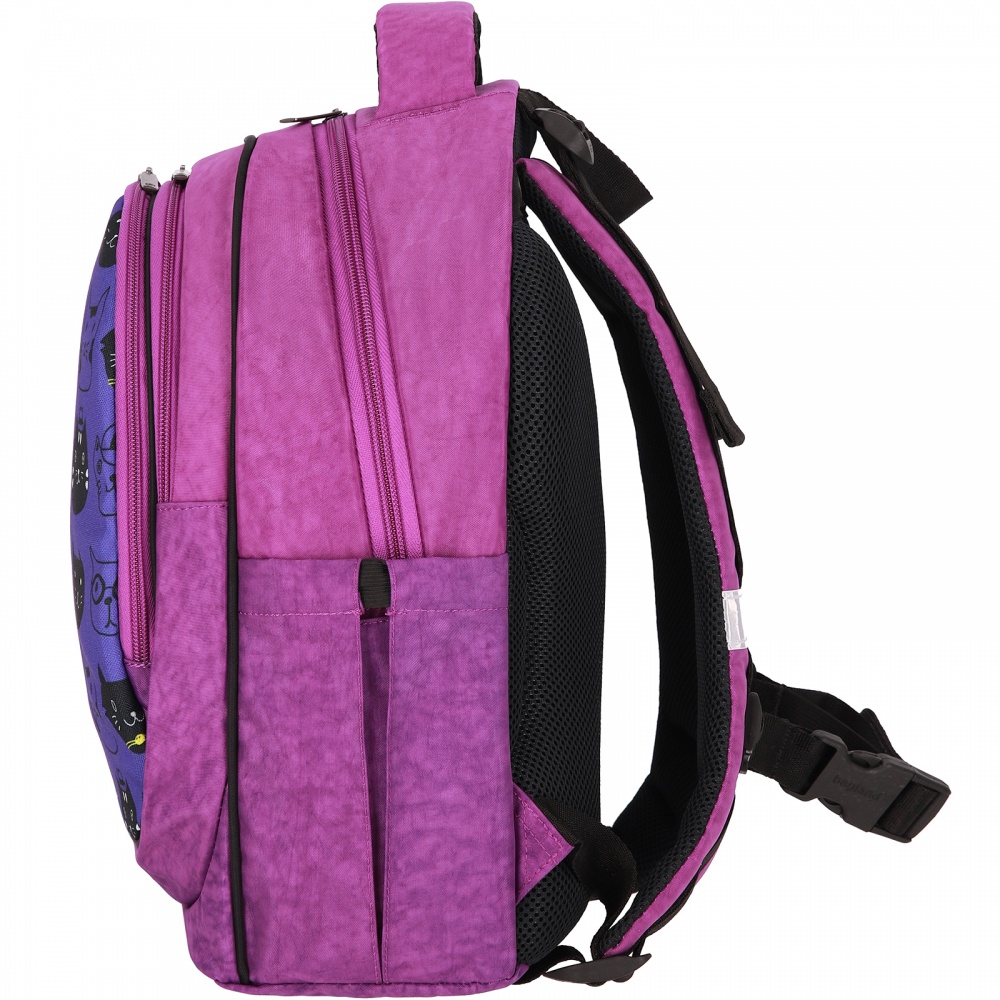 Рюкзак шкільний Bagland Different Cats 23 л 56566