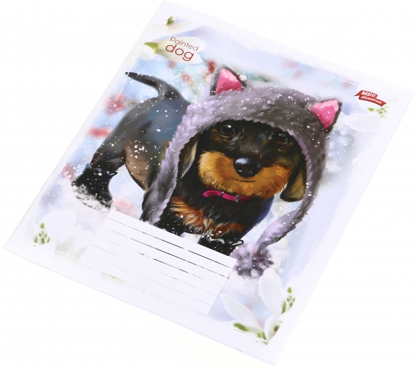 Тетрадь школьная 18 листов в линейку в ассортименте Мечты сбываются