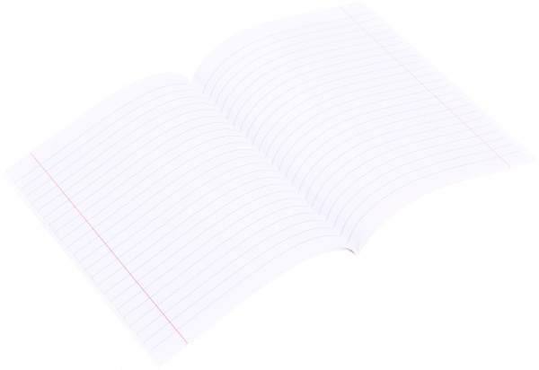 Тетрадь школьная 18 листов в линейку в ассортименте Мечты сбываются