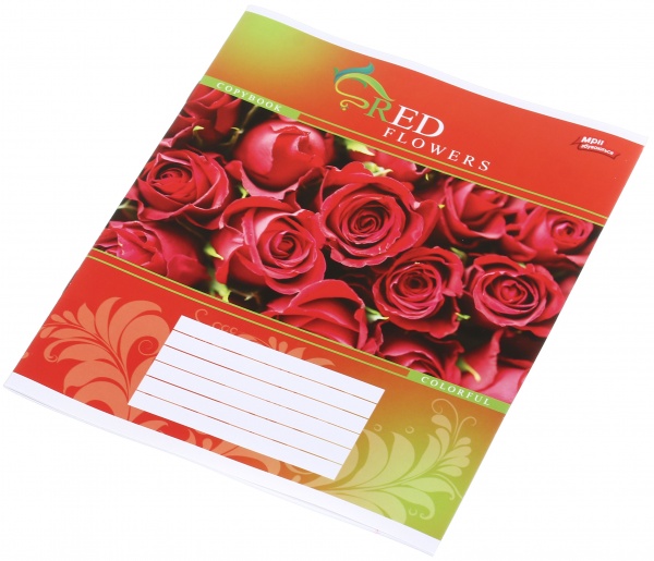 Тетрадь школьная уф-лак 18 листов в линейку в ассортименте Мечты сбываются