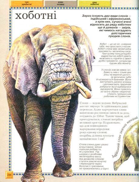 Книга «Велика енциклопедія тварин (нова обкладинка)» 978-966-462-988-8