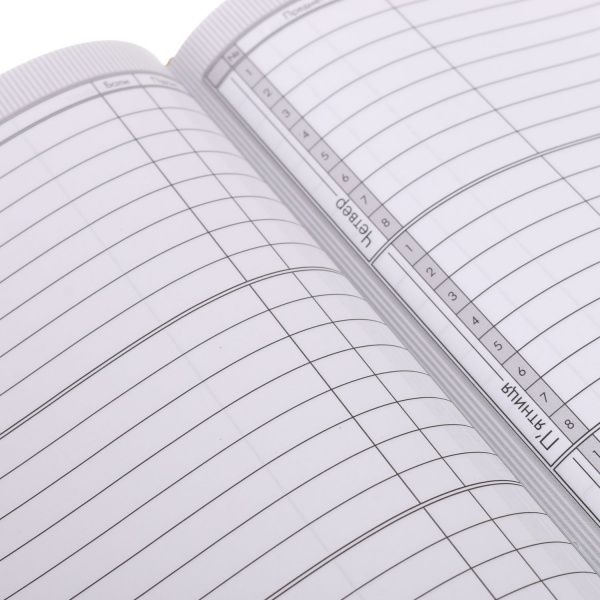 Дневник школьный Snappy Raccon Nota Bene