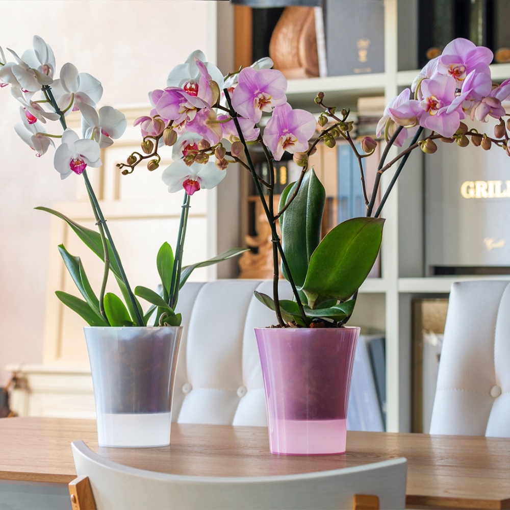 Вазон пластик Arte-Dea круглий лотос 1,25 л Santino (2017031)