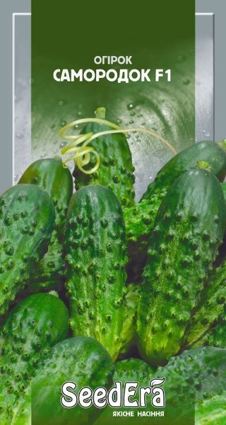 Насіння Seedera огірок Самородок F1 0,5г