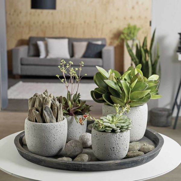 Кашпо керамічне Soendgen Bettona 1327-0028-2395 круглий темно-сірий 