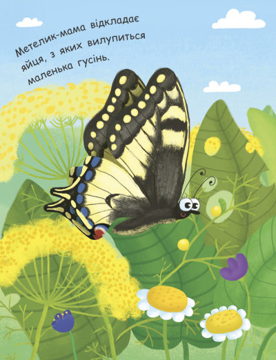 Книга Инна Конопленко «Як народжується метелик» 9789667488352