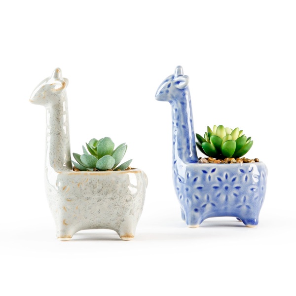 Растение декоративное DH-FLOWERS-20 GREEN/WHITE 